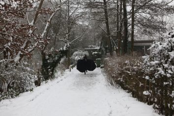 Ruth Corney Ladies Pond