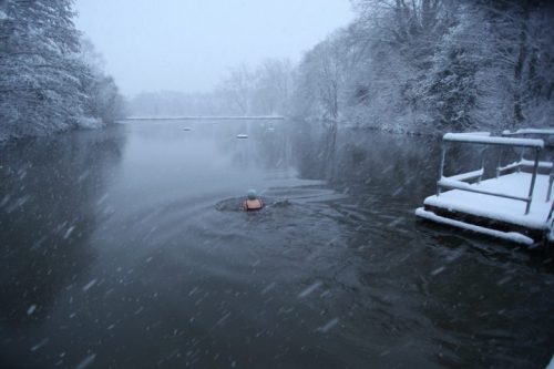 mixed_pond_01-721x480