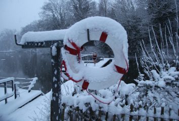 mixed_pond_05-354x239